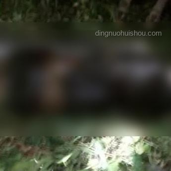国足出征印尼25人大名单与球员实力分析